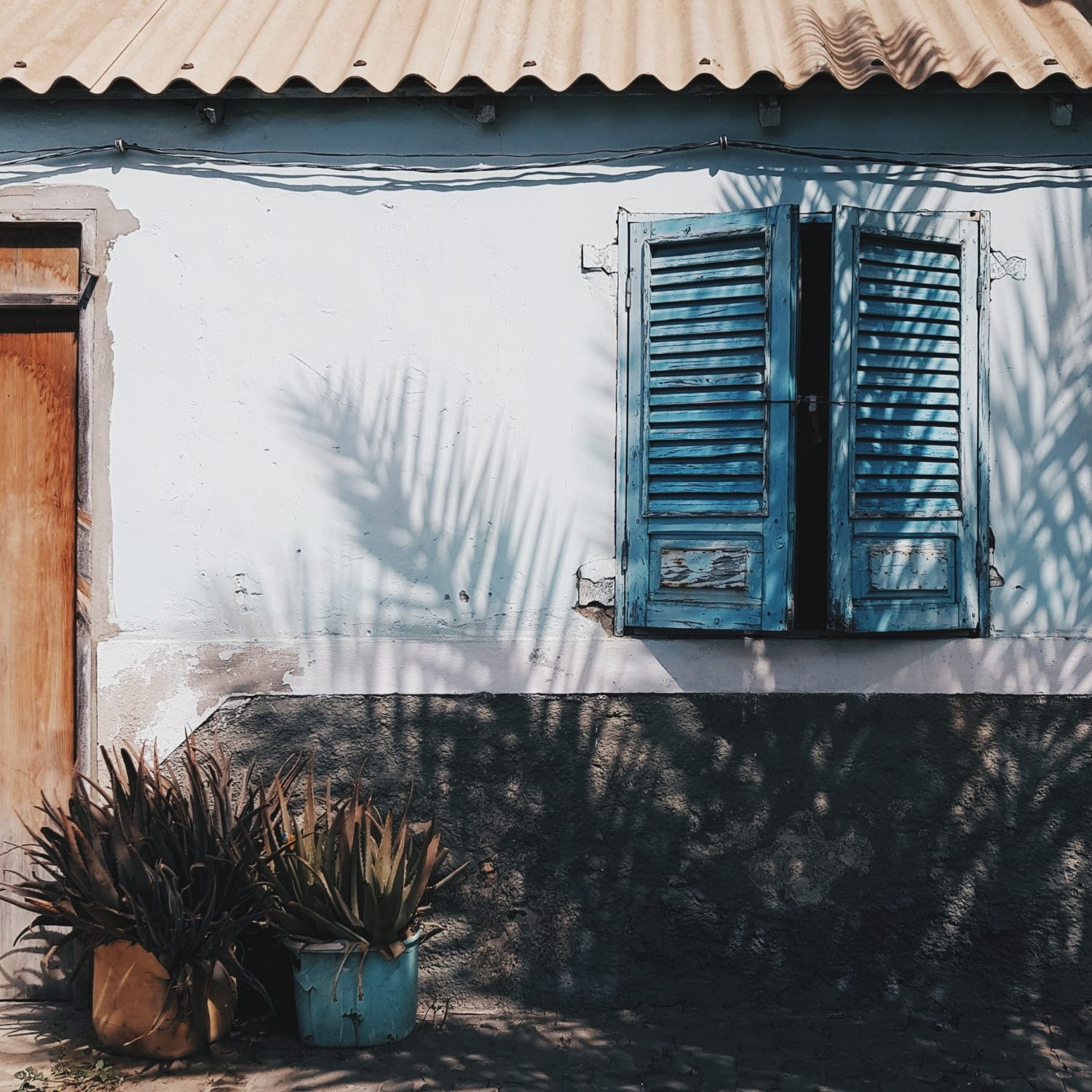 An exterior shot of a house with a palm tree in front